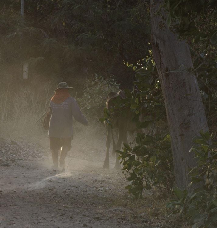 Produktbild: The Village