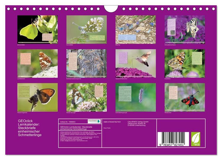 Produktbild: GEOclick Lernkalender: Steckbriefe einheimischer Schmetterlinge (Wandkalender 2026 DIN A4 quer), CALVENDO Monatskalender