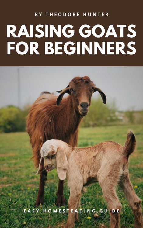Produktbild: Raising Goats for Beginners: Easy Homesteading Guide