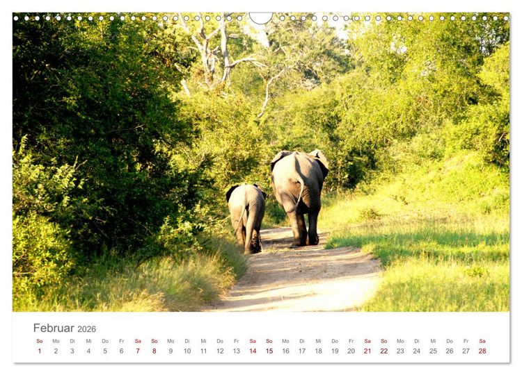 Produktbild: Safari / Afrika (Wandkalender 2026 DIN A3 quer), CALVENDO Monatskalender