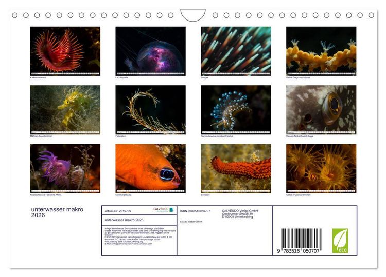 Produktbild: unterwasser makro 2026 (Wandkalender 2026 DIN A4 quer), CALVENDO Monatskalender