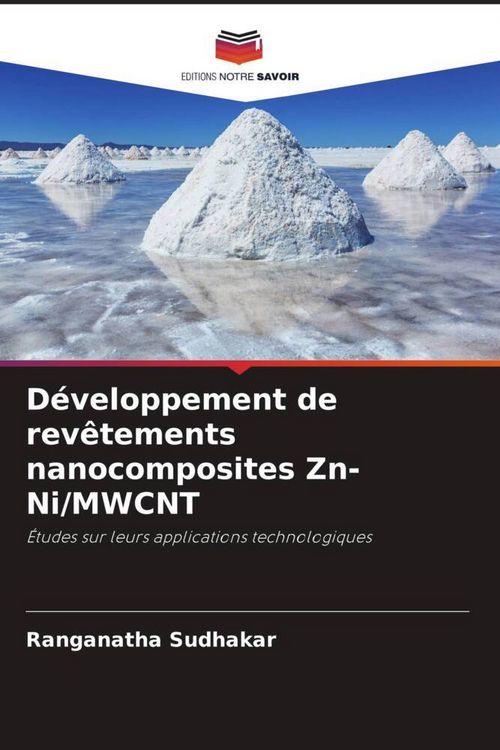Produktbild: D&eacute;veloppement de rev&ecirc;tements nanocomposites Zn-Ni/MWCNT