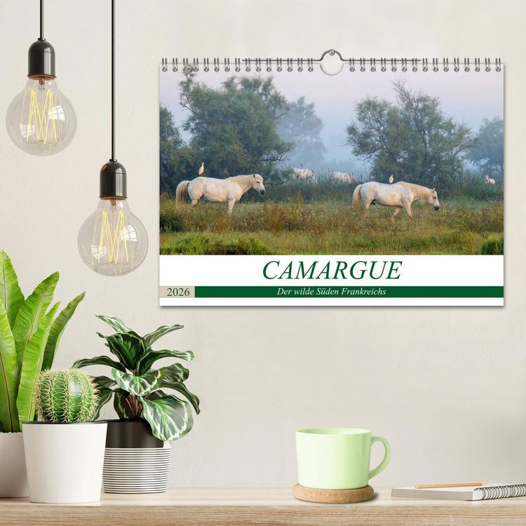 Produktbild: Camargue - Der wilde S&uuml;den Frankreichs (Wandkalender 2026 DIN A4 quer), CALVENDO Monatskalender