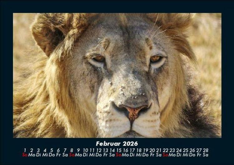 Produktbild: Der Tierkalender 2026 Fotokalender DIN A5