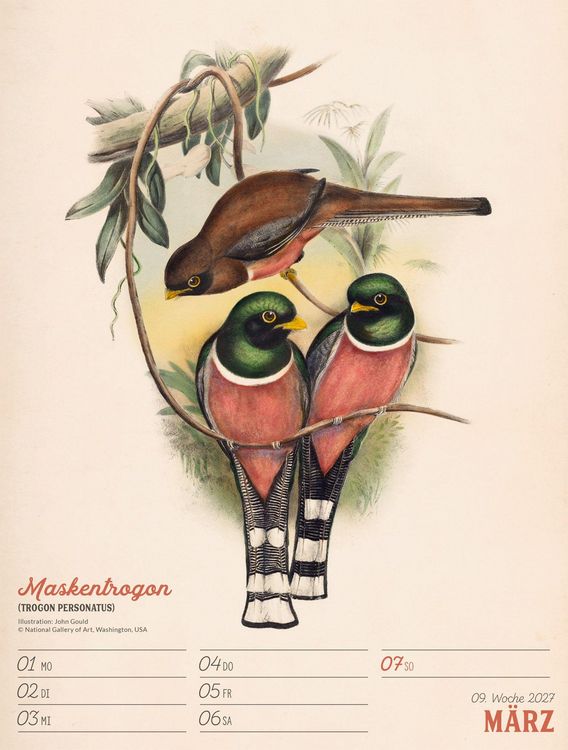 Produktbild: Wunderbare Vogelwelt Wochenplaner Kalender 2027