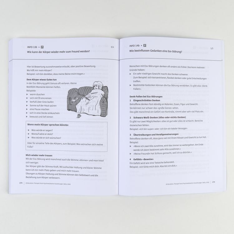 Produktbild: Therapie-Tools Psychoedukation Essst&ouml;rungen