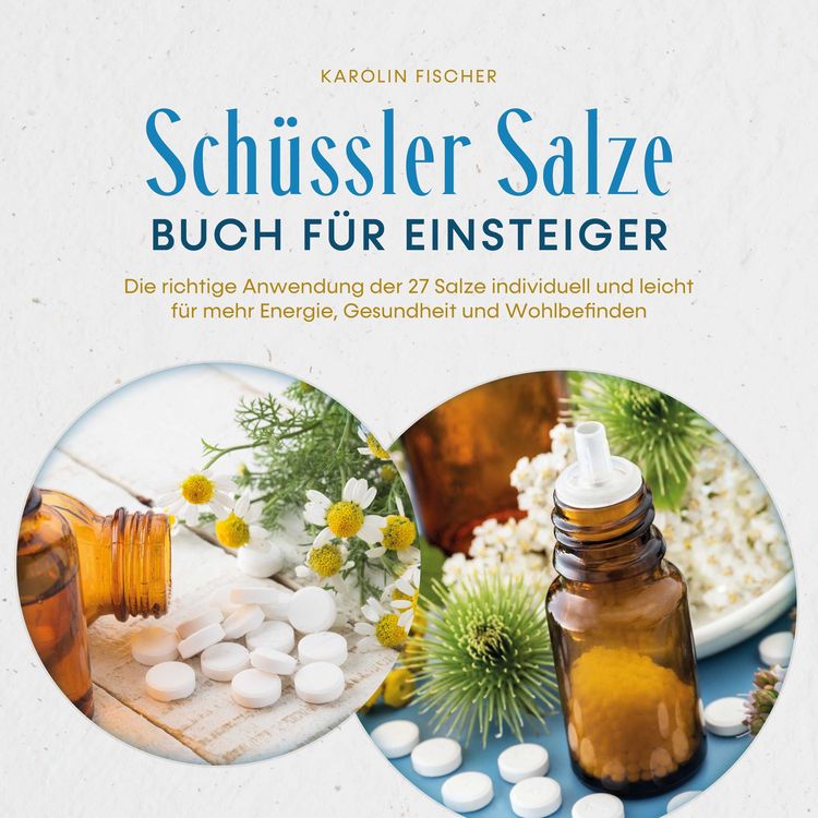 Produktbild: Sch&uuml;ssler Salze Buch f&uuml;r Einsteiger: Die richtige Anwendung der 27 Salze individuell und leicht f&uuml;r mehr Energie, Gesundheit und Wohlbefinden - Schritt f&uuml;r Schritt von der Theorie bis zur Praxis