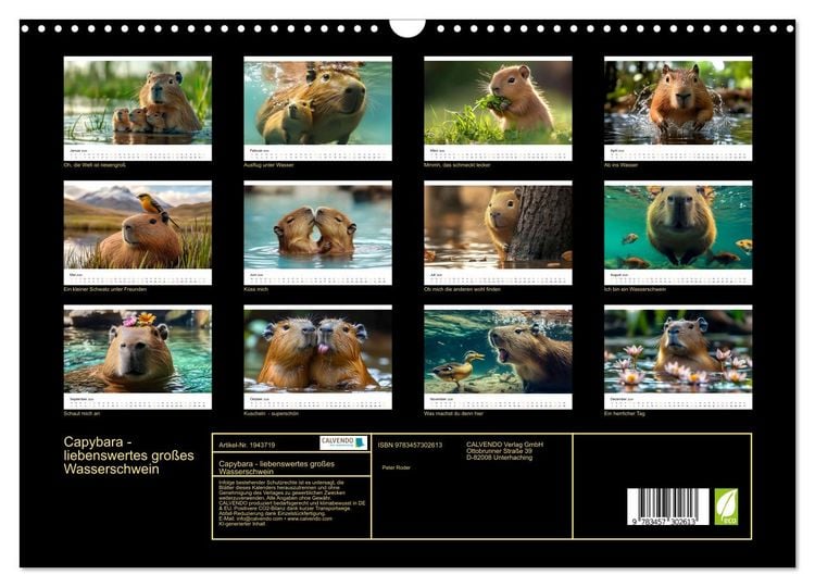 Produktbild: Capybara - liebenswertes gro&szlig;es Wasserschwein (Wandkalender 2026 DIN A3 quer), CALVENDO Monatskalender