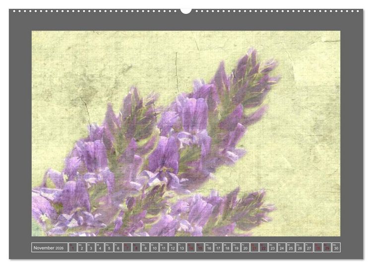 Produktbild: Blumen f&uuml;r dich (Wandkalender 2026 DIN A2 quer), CALVENDO Monatskalender