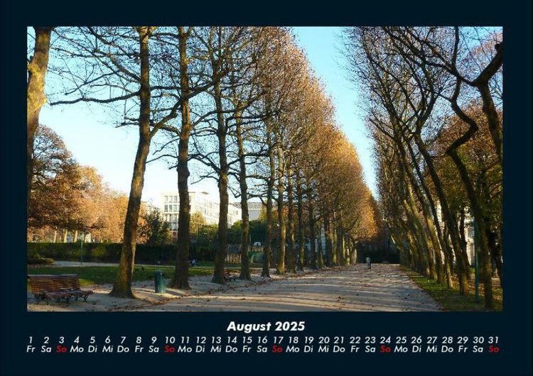 Produktbild: B&auml;ume 2025 Fotokalender DIN A4