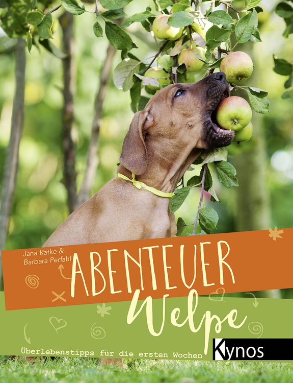 Produktbild: Abenteuer Welpe
