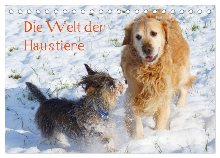 Produktbild: Die Welt der Haustiere (Tischkalender 2027 DIN A5 quer), CALVENDO Monatskalender