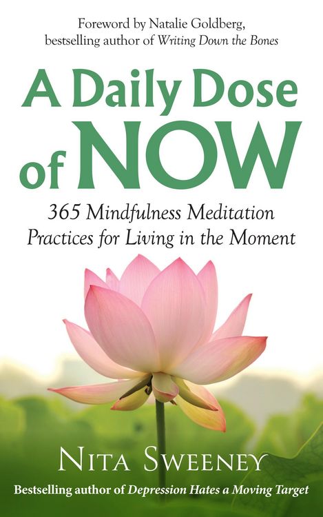 Produktbild: A Daily Dose of Now: 365 Mindfulness Meditation Practices for Living in the Moment