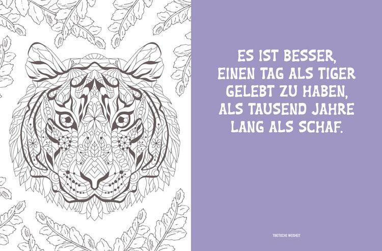 Produktbild: Colorful Mandala &ndash; Mandala &ndash; Dschungeltiere