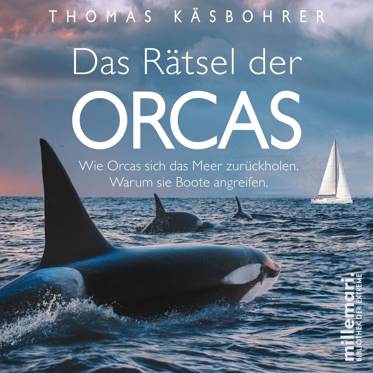 Produktbild: Das R&auml;tsel der Orcas