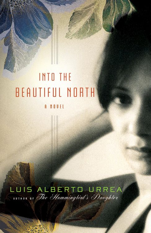 Produktbild: Into the Beautiful North