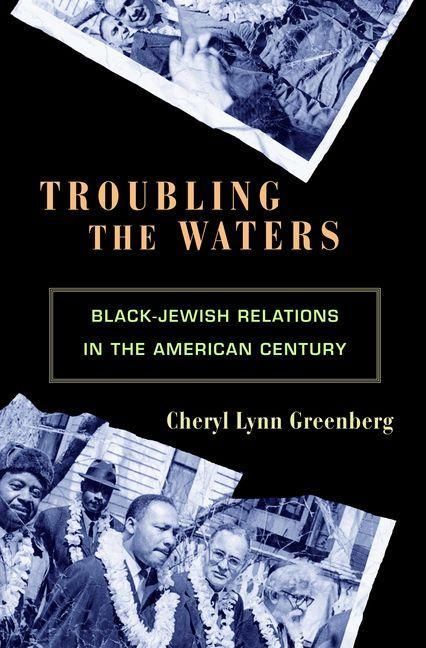 Produktbild: Troubling the Waters