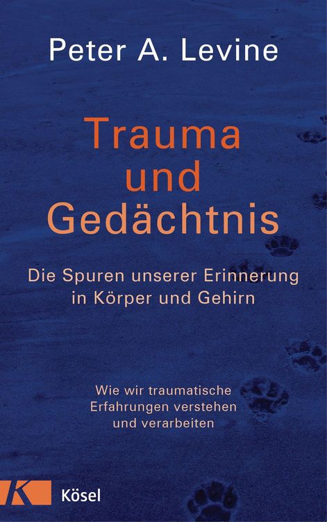 Produktbild: Trauma und Ged&auml;chtnis