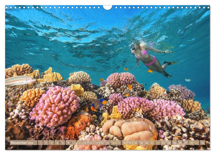 Produktbild: Einzigartige Naturkostbarkeiten aus Asien (Wandkalender 2026 DIN A3 quer), CALVENDO Monatskalender