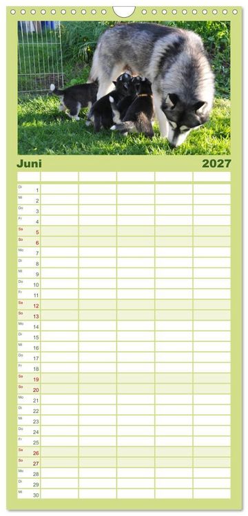 Produktbild: Familienplaner 2027 - Huskys - Traumhunde mit 5 Spalten (Wandkalender, 21 x 45 cm) CALVENDO