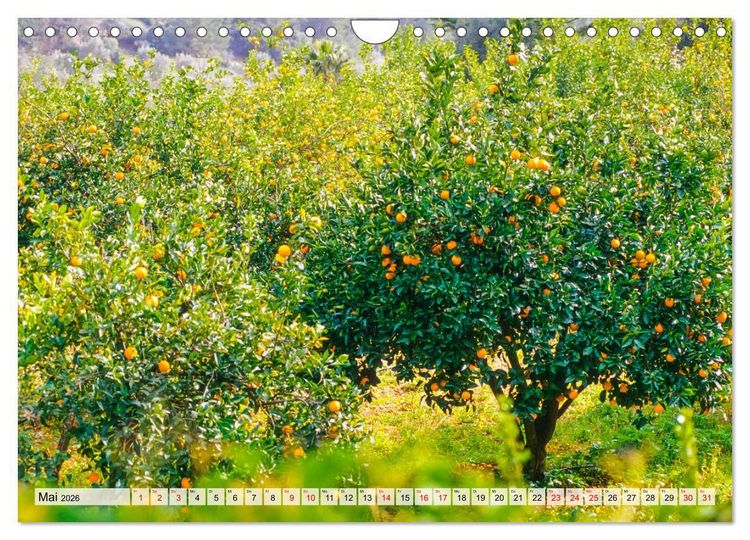 Produktbild: Immer wieder Mallorca (Wandkalender 2026 DIN A4 quer), CALVENDO Monatskalender