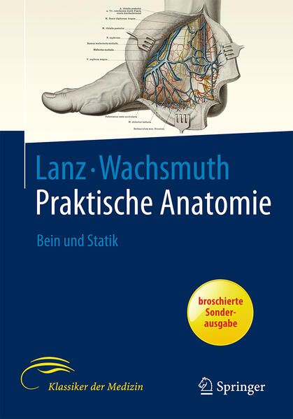Produktbild: Bein und Statik