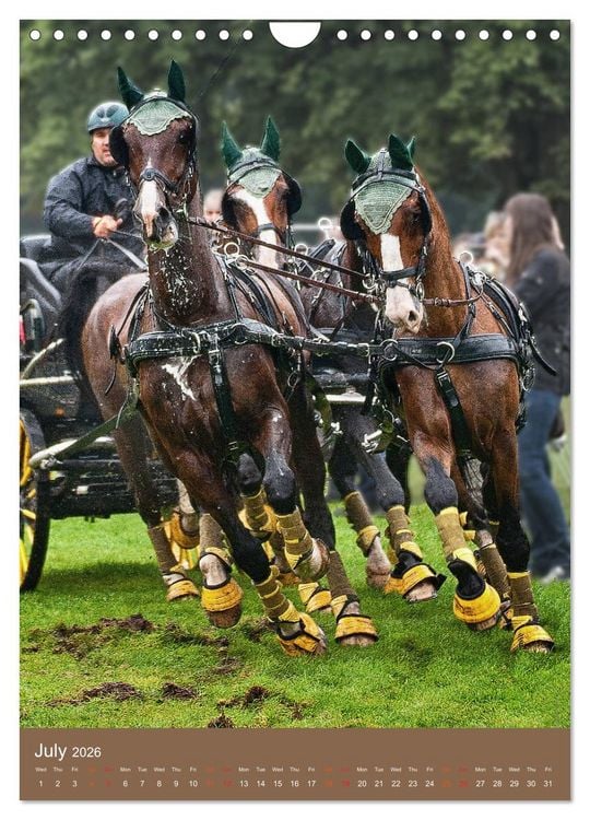 Produktbild: Carriage Driving - Horses in Action (Wall Calendar 2026 DIN A4 portrait), CALVENDO 12 Month Wall Calendar
