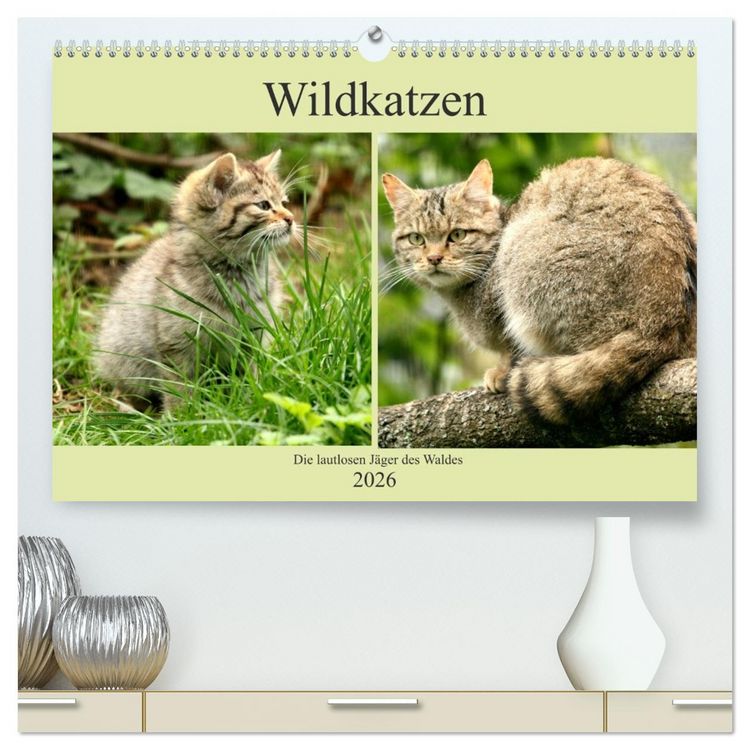 Produktbild: Wildkatzen - Die lautlosen J&auml;ger des Waldes (hochwertiger Premium Wandkalender 2026 DIN A2 quer), Kunstdruck in Hochglanz