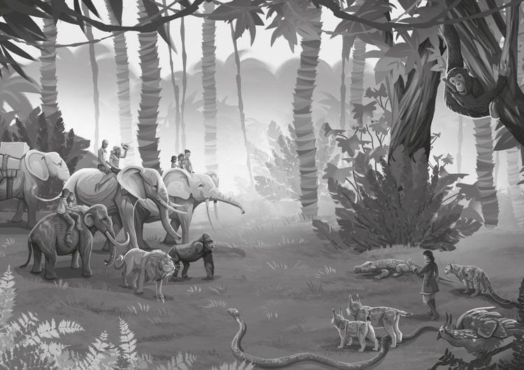 Produktbild: Whisperworld 4: Gefahr im Sumpf