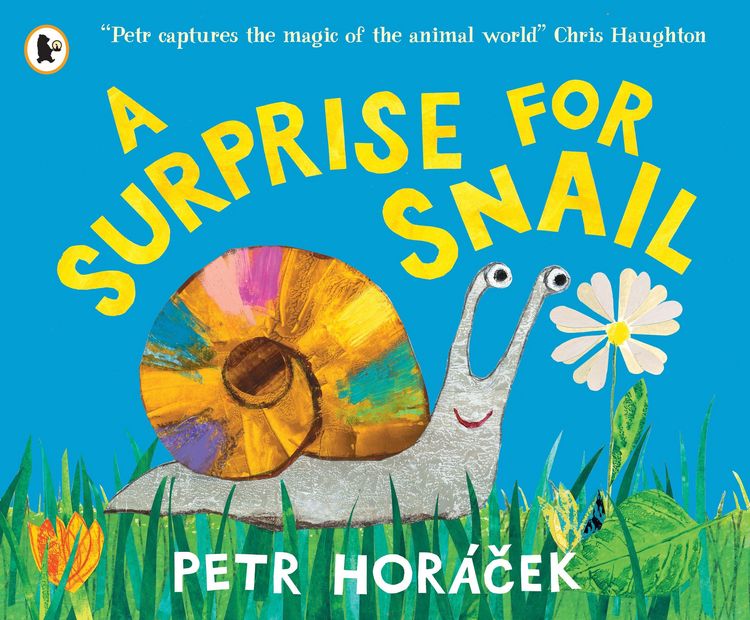 Produktbild: A Surprise for Snail