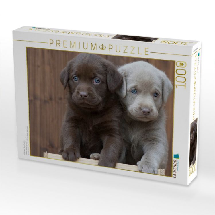 Produktbild: CALVENDO Puzzle Labrador Geschwister | 1000 Teile Lege-Gr&ouml;&szlig;e 64x48cm Foto-Puzzle f&uuml;r gl&uuml;ckliche Stunden