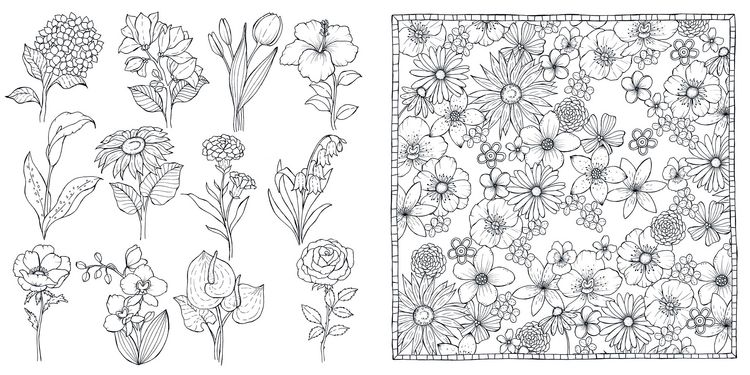 Produktbild: Bl&uuml;tentraum &ndash; Florale Motive ausmalen