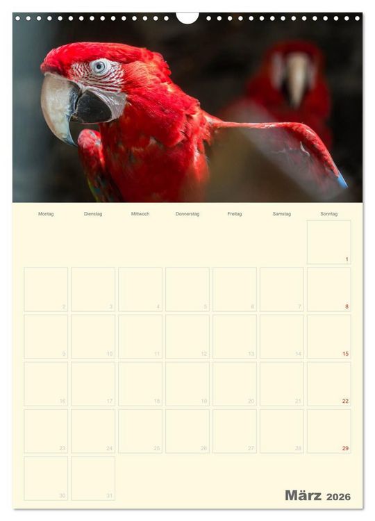 Produktbild: Kunterbunter Papageien-Planer (Wandkalender 2026 DIN A3 hoch), CALVENDO Monatskalender