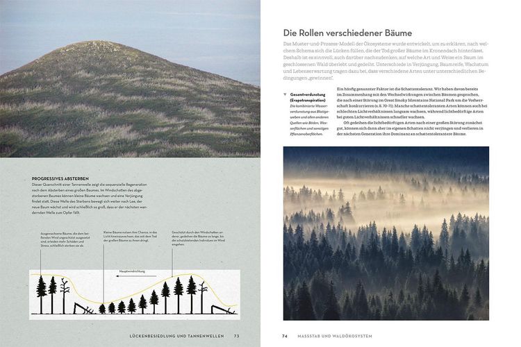 Produktbild: Atlas der W&auml;lder
