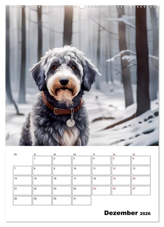 Produktbild: Aussiedoodle - Hunde zum Liebhaben (hochwertiger Premium Wandkalender 2026 DIN A2 hoch), Kunstdruck in Hochglanz