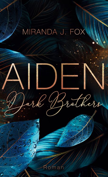 Produktbild: AIDEN - Dark Brothers