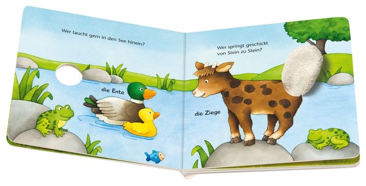 Produktbild: Ministeps: Was wackelt hier? Was zappelt hier?