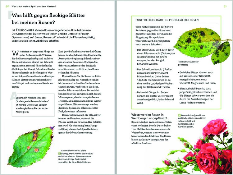 Produktbild: Wer klaut meine &Auml;pfel aus dem Garten