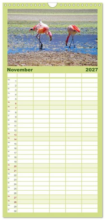 Produktbild: Familienplaner 2027 - Bolivien - Die geheime Perle S&uuml;damerikas mit 5 Spalten (Wandkalender, 21 x 45 cm) CALVENDO