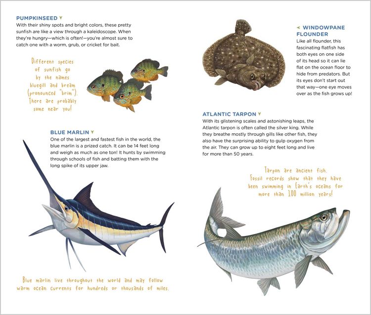 Produktbild: The Perfect Catch of Tattoo Fish