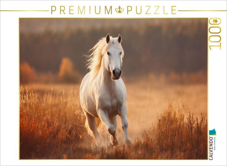 Produktbild: CALVENDO Puzzle Wei&szlig;es Pferd, Freiheit in Bewegung | 1000 Teile Lege-Gr&ouml;&szlig;e 64x48cm Foto-Puzzle f&uuml;r gl&uuml;ckliche Stunden