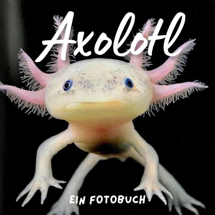 Produktbild: Axolotl