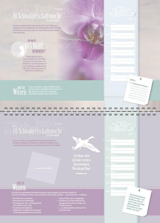 Produktbild: SCHWANGERSCHAFTSKALENDER