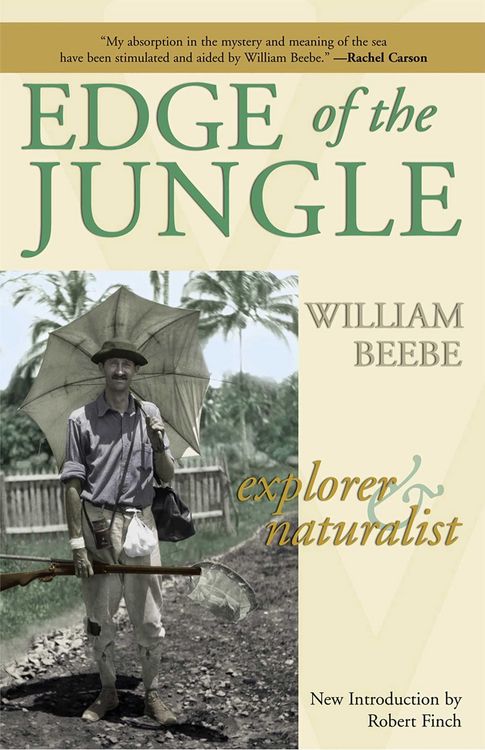 Produktbild: Edge of the Jungle