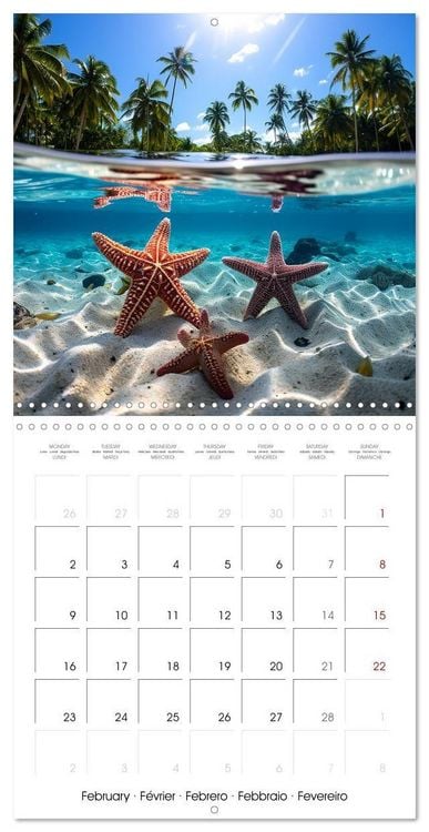 Produktbild: Beside tropical beaches (Wall Calendar 2026 12 &times; 12 Inch) CALVENDO 12 Month Wall Calendar