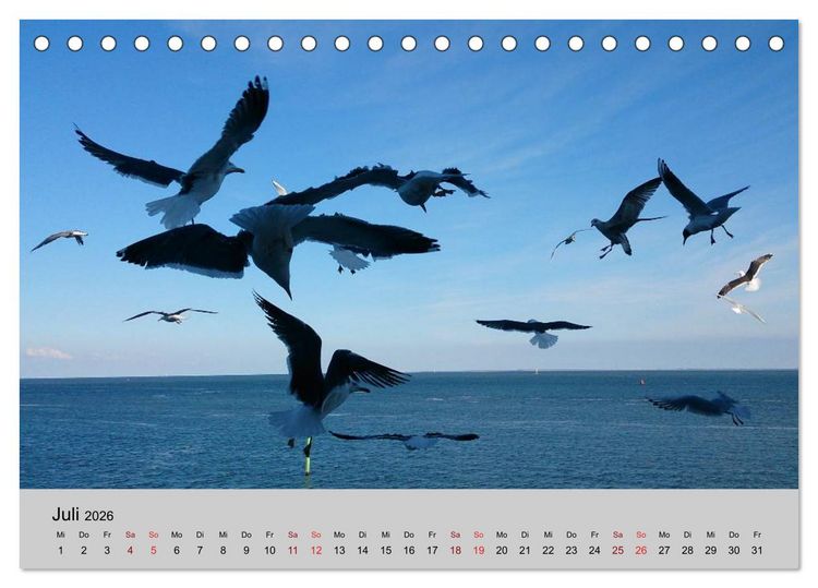 Produktbild: Blicke hinaus aufs Meer (Tischkalender 2026 DIN A5 quer), CALVENDO Monatskalender