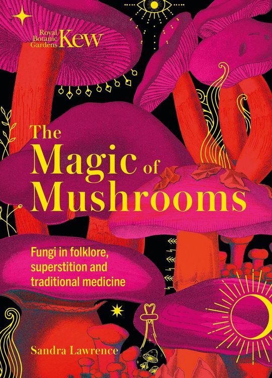 Produktbild: The Magic of Mushrooms