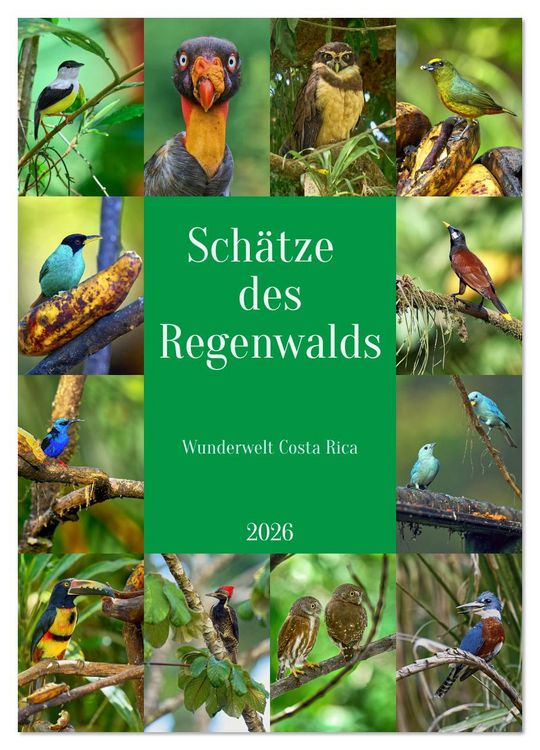 Produktbild: Sch&auml;tze des Regenwalds (Wandkalender 2026 DIN A3 hoch), CALVENDO Monatskalender