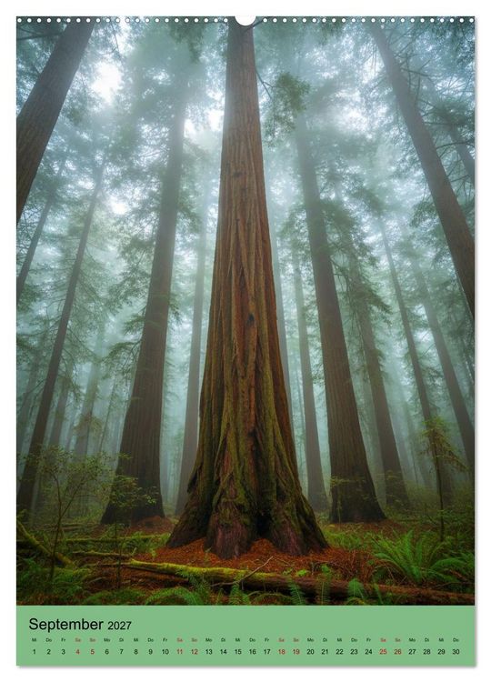 Produktbild: Sequoia Giganten (Wandkalender 2027 DIN A2 hoch), CALVENDO Monatskalender