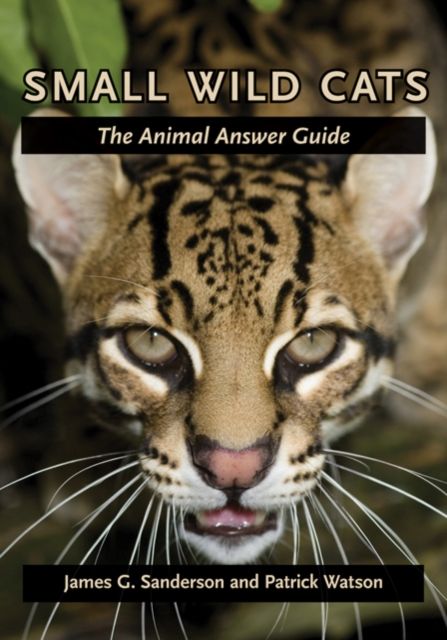 Produktbild: Small Wild Cats